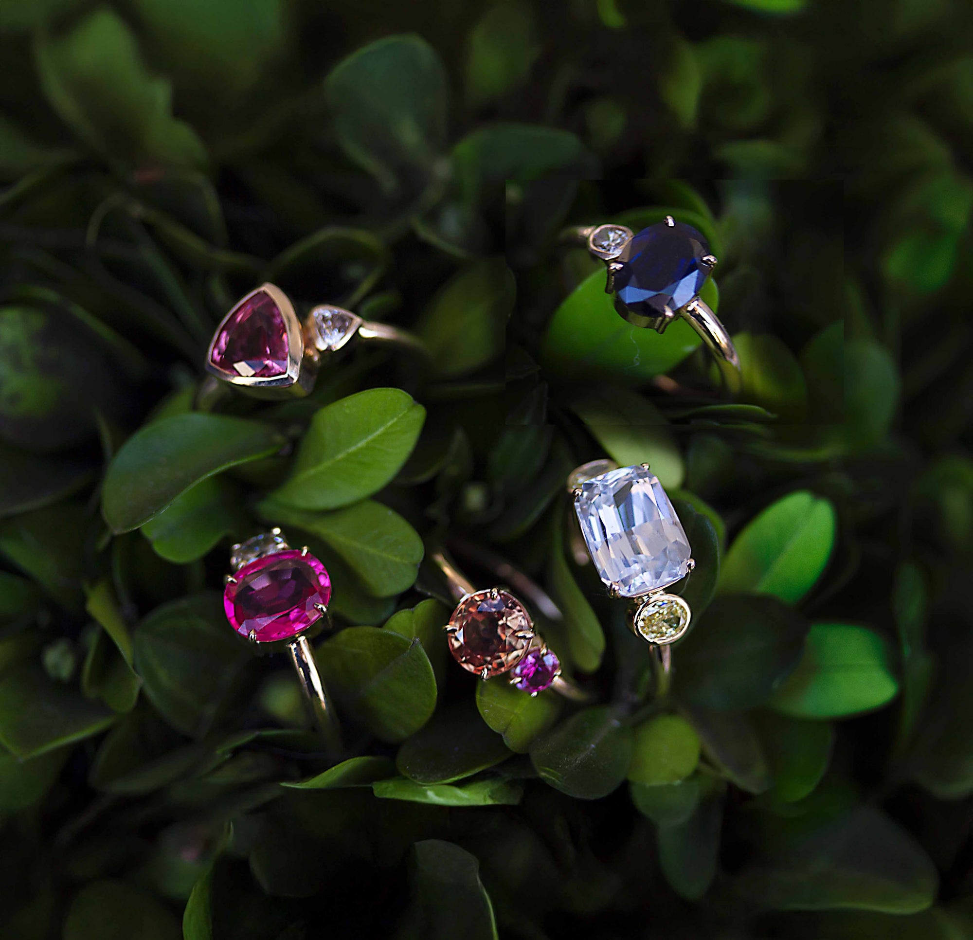 Set of gemstone rings rested in a green leafy background